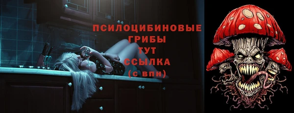 ПСИЛОЦИБИНОВЫЕ ГРИБЫ Абинск