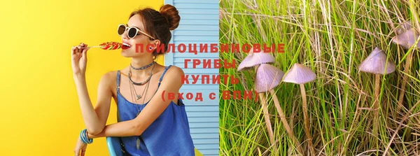 каннабис Абаза