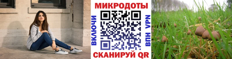 Галлюциногенные грибы мицелий  Тула 