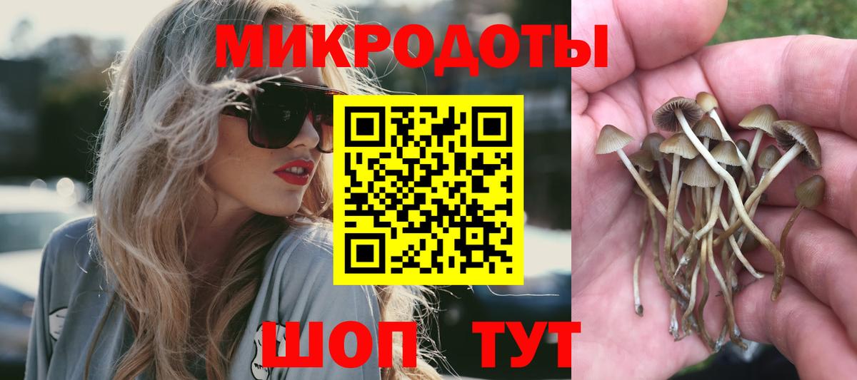 Псилоцибиновые грибы Cubensis  Псилоцибиновые грибы прущие грибы  Тула  Вход с VPN 