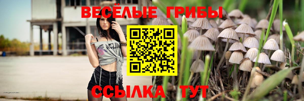 Галлюциногенные грибы мухоморы Тула